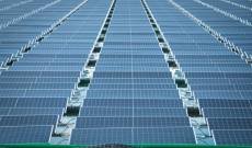 Om Spices, Uttar Pradesh 101