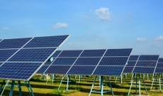 Raj Apiaries (Swastik) 100