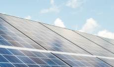 Triveni Engineering & Industries, Maldives 150